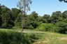 Land for sale in San Tom, Loei