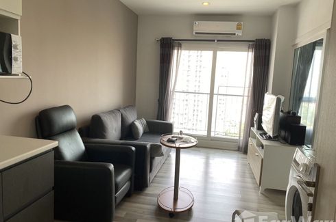 1 Bedroom Condo for rent in The Key Wutthakat, Bang Kho, Bangkok near BTS Wutthakat