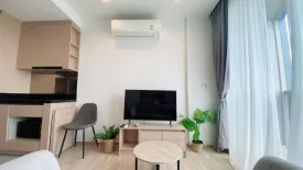 1 Bedroom Condo for rent in KAWA HAUS, Phra Khanong Nuea, Bangkok near BTS On Nut