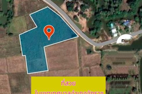 Land for sale in Chakkarat, Nakhon Ratchasima