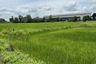 Land for sale in Ang Thong, Nakhon Sawan