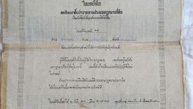 Land for sale in Ang Thong, Nakhon Sawan