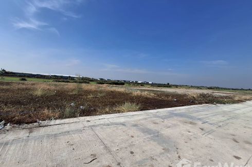 Land for sale in Pinthongland Factory Village, Lahan, Nonthaburi