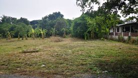 Land for sale in Bueng, Chonburi