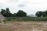 Land for sale in Khao Khan Song, Chonburi