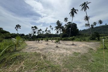 Land for sale in Na Mueang, Surat Thani