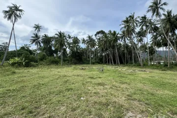 Land for sale in Na Mueang, Surat Thani