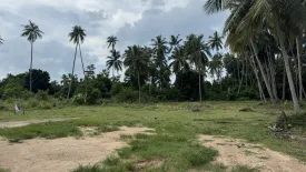 Land for sale in Na Mueang, Surat Thani