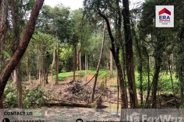 Land for sale in Nong Thale, Krabi