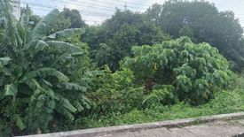 Land for sale in Tak Daet, Chumphon