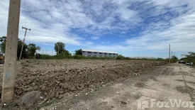 Land for sale in Don Khoi, Nakhon Pathom