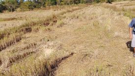 Land for sale in Phon Chan, Nakhon Phanom