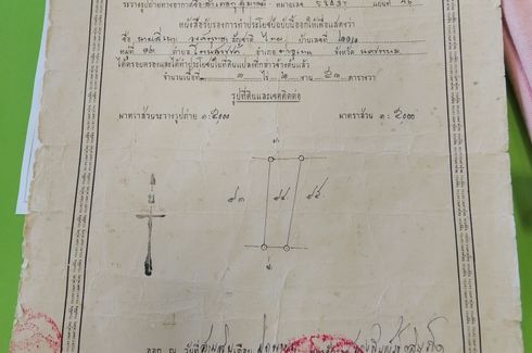 Land for sale in Phon Chan, Nakhon Phanom