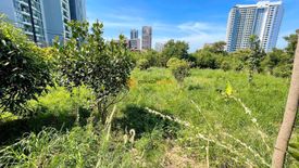 Land for sale in Nong Prue, Chonburi