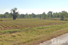 Land for sale in Mueang Ling, Surin