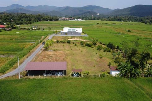 Land for sale in Choeng Doi, Chiang Mai