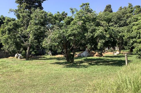 Land for sale in Yu Wa, Chiang Mai