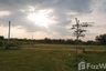 Land for sale in Wang Sai, Nakhon Ratchasima