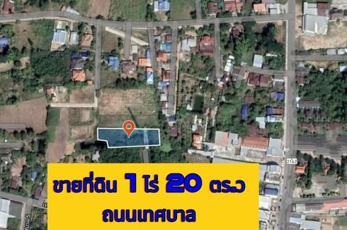 Land for sale in Chakkarat, Nakhon Ratchasima