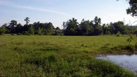 Land for sale in Wang Krachae, Trat