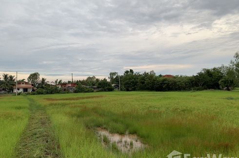 Land for sale in Sakhrai, Nong Khai