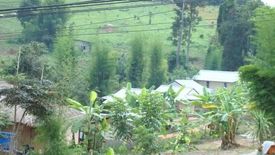 4 Bedroom House for sale in Mae Na Toeng, Mae Hong Son