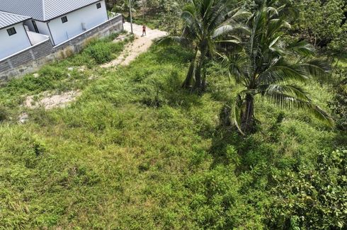 Land for sale in Mae Nam, Surat Thani