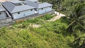 Land for sale in Mae Nam, Surat Thani