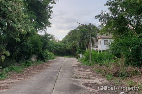 Land for sale in Nong Prue, Chonburi