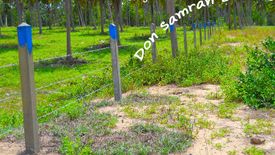 Land for sale in Mae Ramphueng, Prachuap Khiri Khan