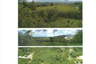 Land for sale in Choeng Thale, Phuket