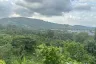 Land for sale in Ko Kaeo, Phuket