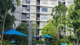 1 Bedroom Condo for rent in dcondo reef, Kathu, Phuket