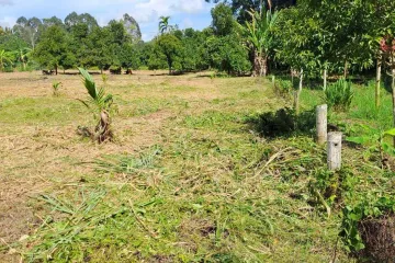 Land for sale in Song Salueng, Rayong