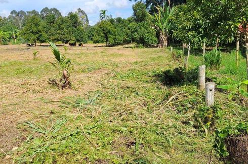 Land for sale in Samnak Thong, Rayong