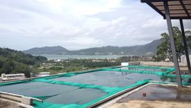 Hotel / Resort for sale in Patong, Phuket