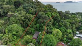 Land for sale in Ratsada, Phuket