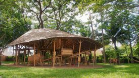 Commercial for sale in Hang Dong, Chiang Mai