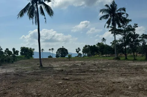 Land for sale in Taling Ngam, Surat Thani