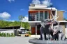 50 Bedroom Hotel / Resort for sale in Bo Phut, Surat Thani