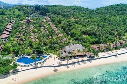 100 Bedroom Hotel / Resort for sale in Bo Phut, Surat Thani