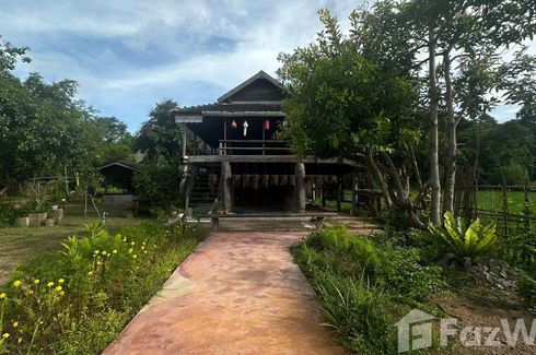 6 Bedroom Commercial for rent in Huai Sak, Chiang Rai