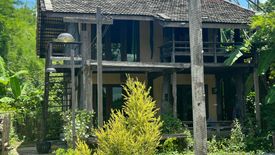 6 Bedroom Commercial for rent in Huai Sak, Chiang Rai