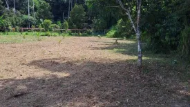 Land for sale in Song Salueng, Rayong