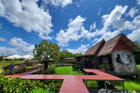 7 Bedroom Hotel / Resort for sale in Noen Kho, Rayong