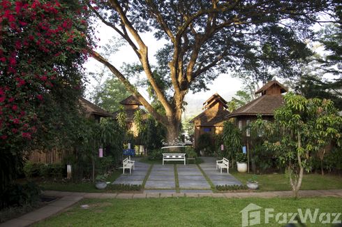 22 Bedroom Hotel / Resort for sale in Wiang Tai, Mae Hong Son