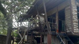 60 Bedroom Hotel / Resort for rent in Ko Pha-ngan, Surat Thani