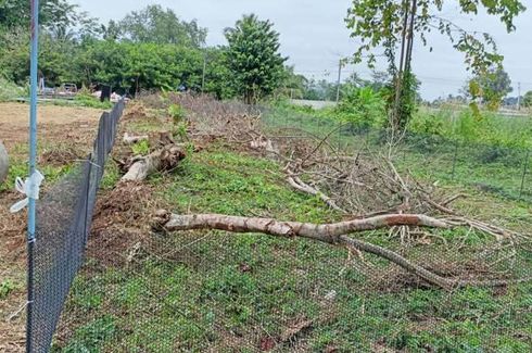 Land for sale in Pa Khlok, Phuket