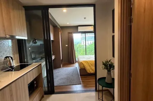 1 Bedroom Condo for rent in La Habana Huahin, Nong Kae, Prachuap Khiri Khan