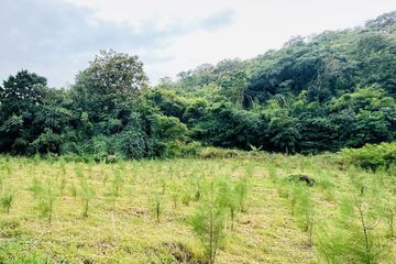 Land for sale in Nong Kae, Prachuap Khiri Khan